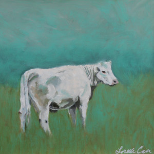 White Cow by Lorelle Carr