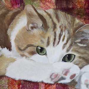 Day 12 - Socks by Lorelle Carr