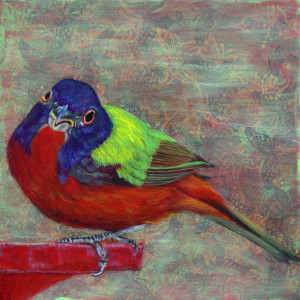 Day 88 - Painted Bunting by Lorelle Carr