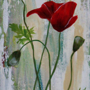 Poppies #1 by Lorelle Carr