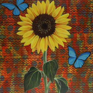 Sunflower by Lorelle Carr