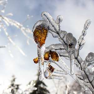 Frozen in Time by Derek Jinks