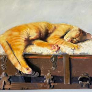 Sleeping Cat by Matthew Jacobson