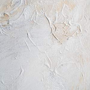 Winter Visage II by Dacia Livingston Parker 