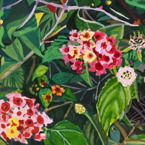 Jardín Botánico del Bosque de Chapultepec by Anastasia Zielinski 