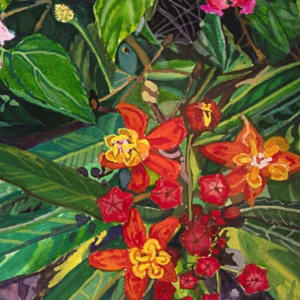 Jardín Botánico del Bosque de Chapultepec by Anastasia Zielinski 