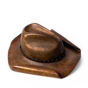 BRONZE STETSON HAT 3/12 by Robin Antar 