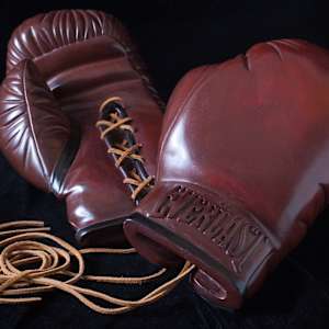 BRONZE BOXING GLOVES AP by Robin Antar