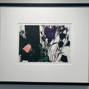 Lizianthes by Gordon Appelbe SMITH (1919-2020) 