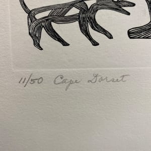 Cape Dorset, #7 by Kenojuak Ashevak, CC, RCA (1927-2013) 