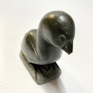 Little Auk - Inuit Sculpture by Noah TUKI (1925-1990) — E9-1771 