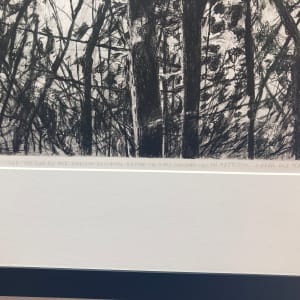 Winter Trees by Gordon Appelbe SMITH (1919-2020) 