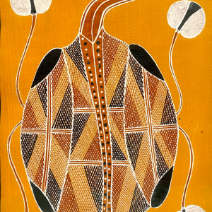 Womardu , Long Neck Turtle - Yolngy Tribe Art by Attb: Marika Family Artist 