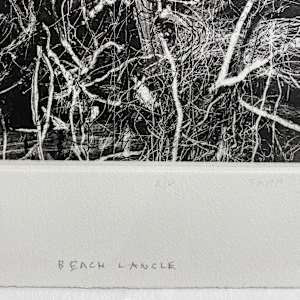 Beach Tangle by Gordon Appelbe SMITH (1919-2020) 