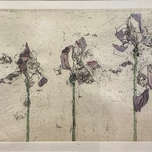 Five Iris by Susan Ford