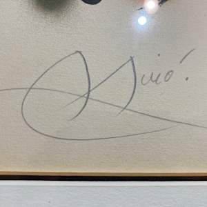 Fotoscop by Joan Miro (1893 - 1983) 