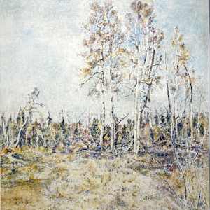 Birches by Dorothy Elsie Knowles (1927 - 2023)