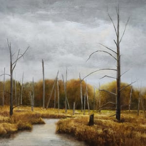 Breaking Light on John's Bog by Nelia Harper French
