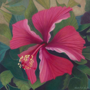 Hibiscus by Nelia Harper