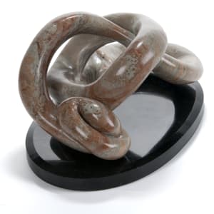 Twisted Fossil by Frances A Listou 