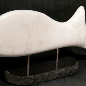 Great White Whale 