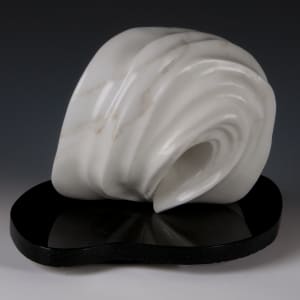 Carrera Wave by Frances A Listou 