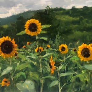 Sunflowers, Califon by Laurie Maher