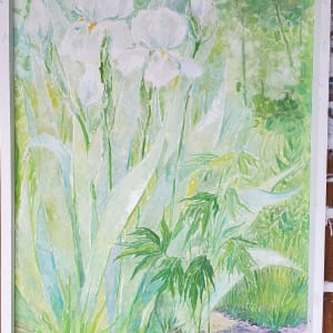 White Irises 
