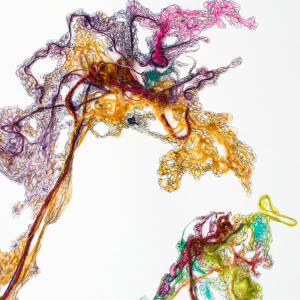 Watching Over Us by Emma Balder 