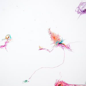 Feather on a Silver Platter by Emma Balder 