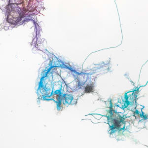 Escapism (diptych) by Emma Balder 