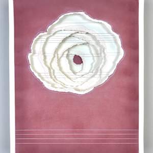 Linear Illusions by Krista Reuter Studio