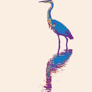 Wading, Mt Sinai NY by Don Leverich