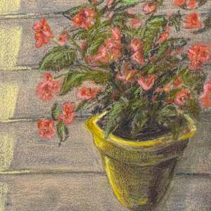 Tucked in the Corner by Don Leverich