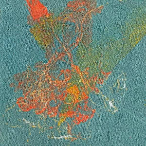 Emerging by Mary Dee Thompson