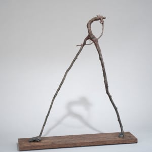 Walker by Mary Dee Thompson