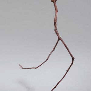 Away We Go by Mary Dee Thompson, Image 1.