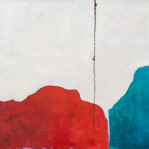 Divided by Mary Dee Thompson