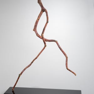 Twister by Mary Dee Thompson