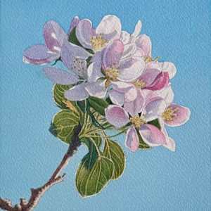 Spring Blossom by Tatjana Garibaldi
