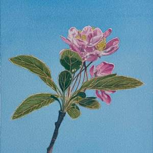 Spring Blossom #2 by Tatjana Garibaldi