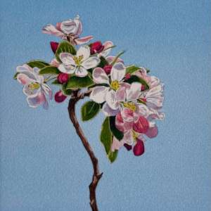 Spring Blossom #3 by Tatjana Garibaldi