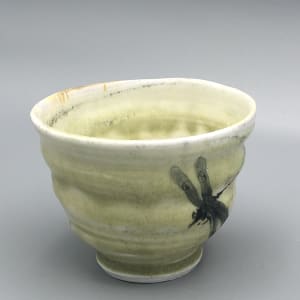 Insect Tea Bowl 1 (Dragonfly) by Caroline Bottom Anderson