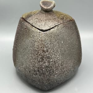 Lidded Vessel by Kenji Imanari