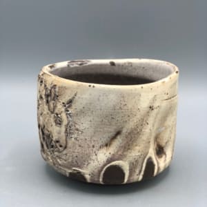 White Buffalo Tea Bowl (Wood-Fired) by Ron Meyers 