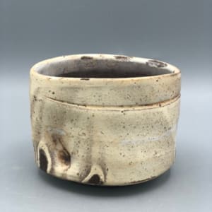 White Buffalo Tea Bowl (Wood-Fired) by Ron Meyers 