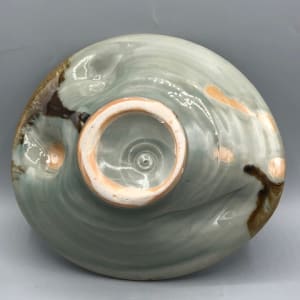 Biomorphic Plate or Bowl by Daniel Price 