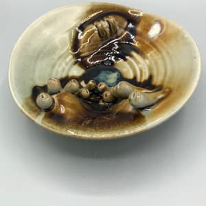 Biomorphic Plate or Bowl by Daniel Price 