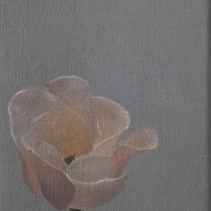 Small Floral Study-Lisianthus