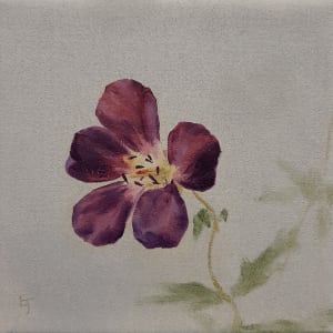 Small Floral Study-blágresi